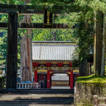 nikko