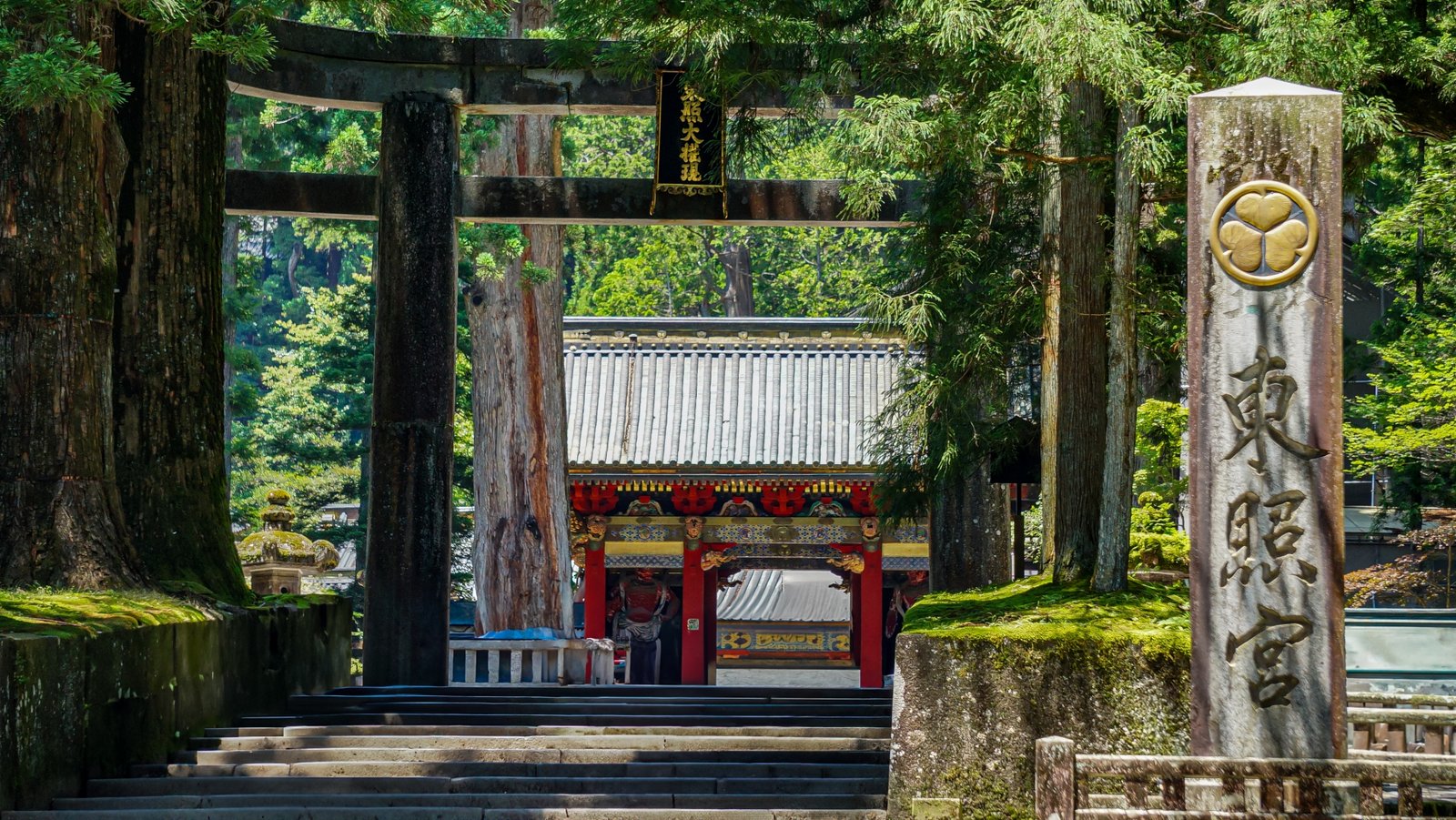 nikko