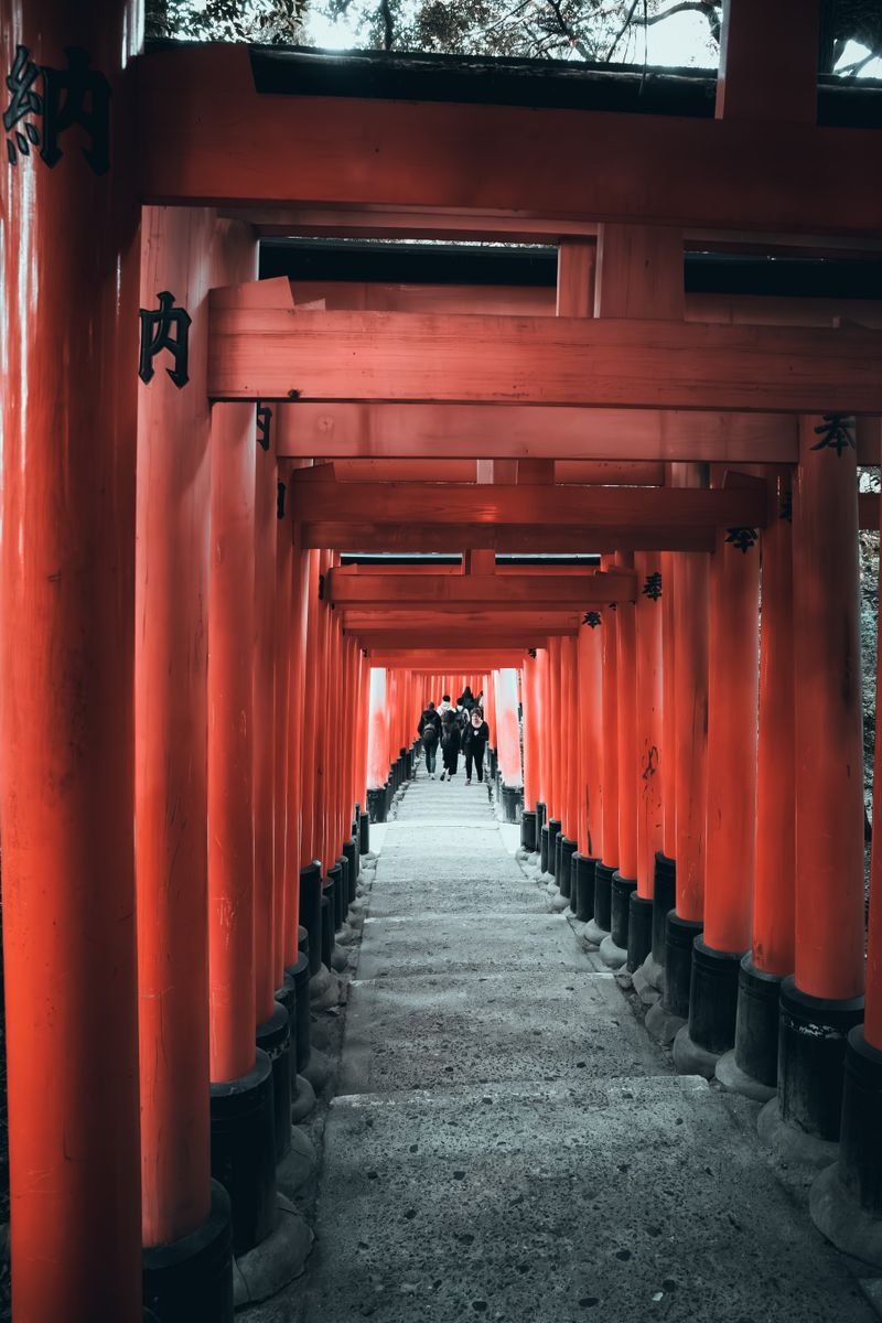 Red torii gate walkway at a Japanese shrine