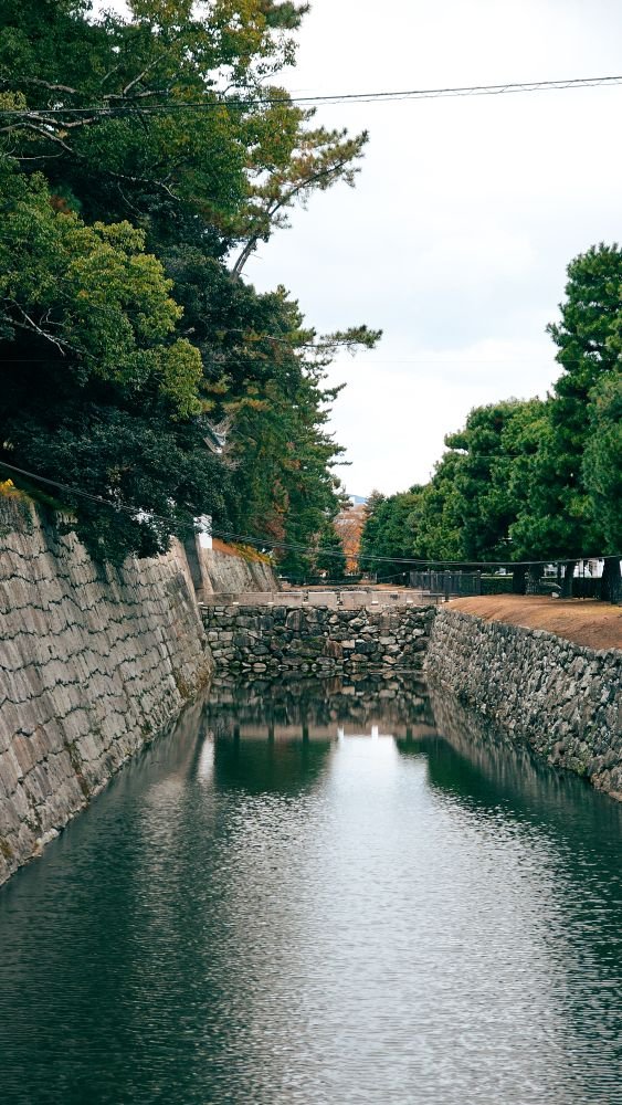 Clear spring-fed canal running through a traditional Japanese town