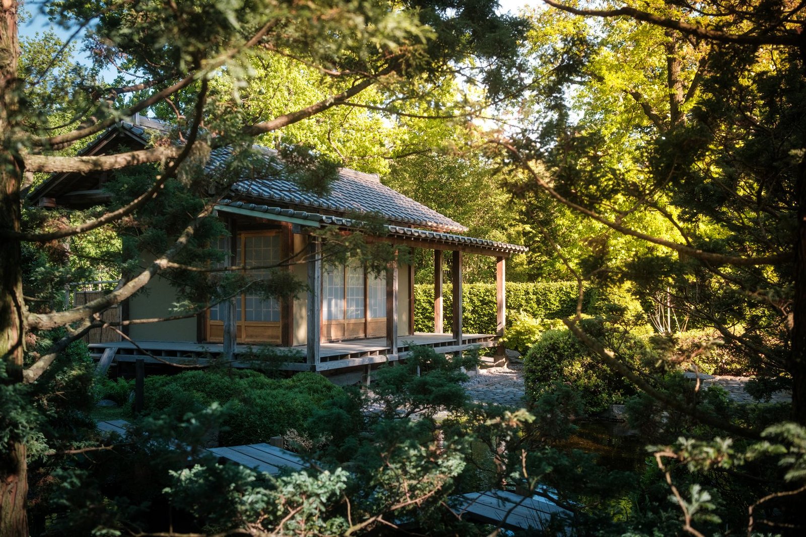 Traditional Japanese tea house setting with tatami and quiet garden light