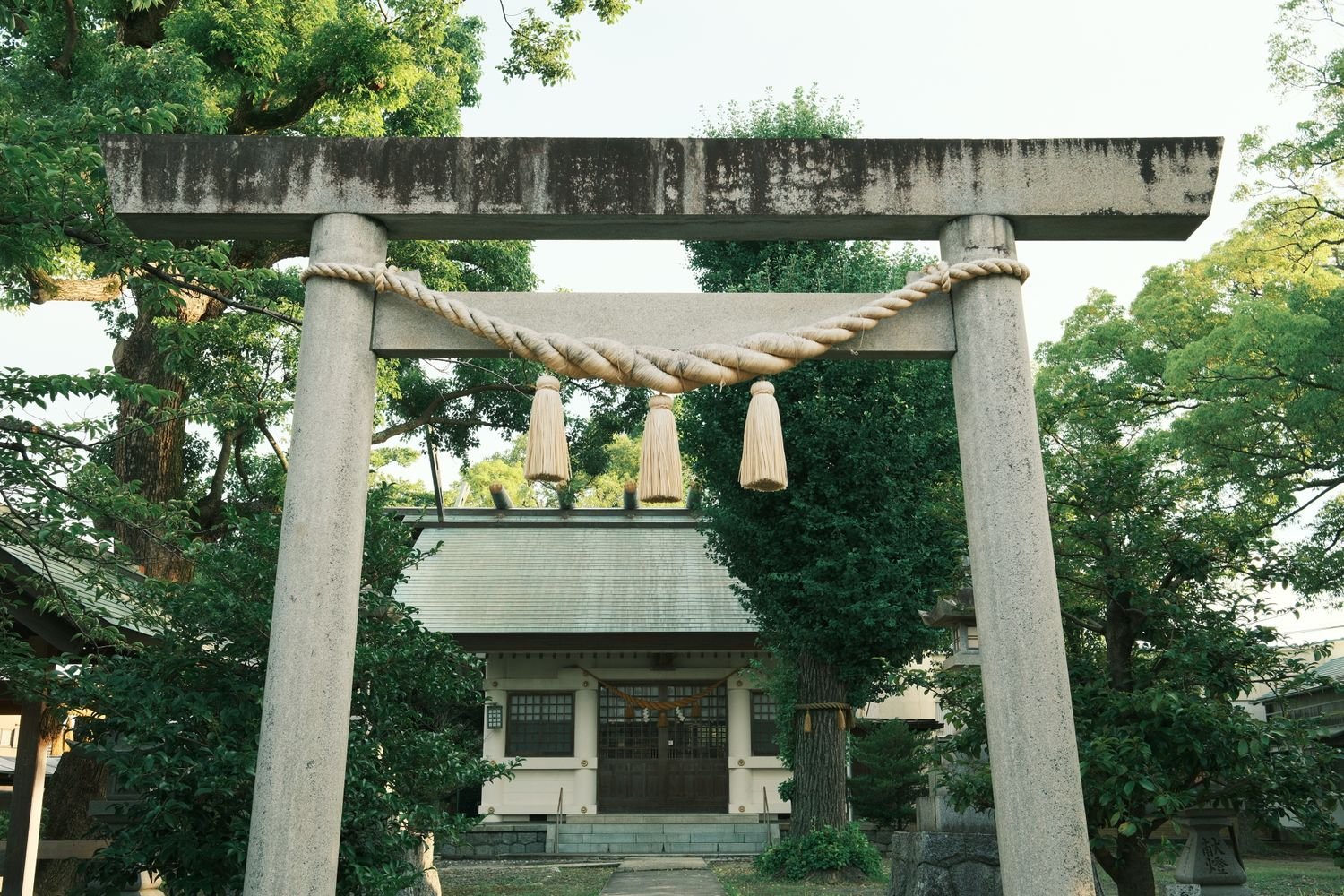 Torii gate at the entrance of a quiet Shinto shrine