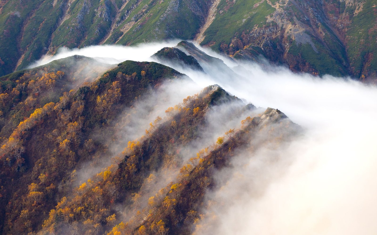 Mist settling over a forested mountain ridge in Japan