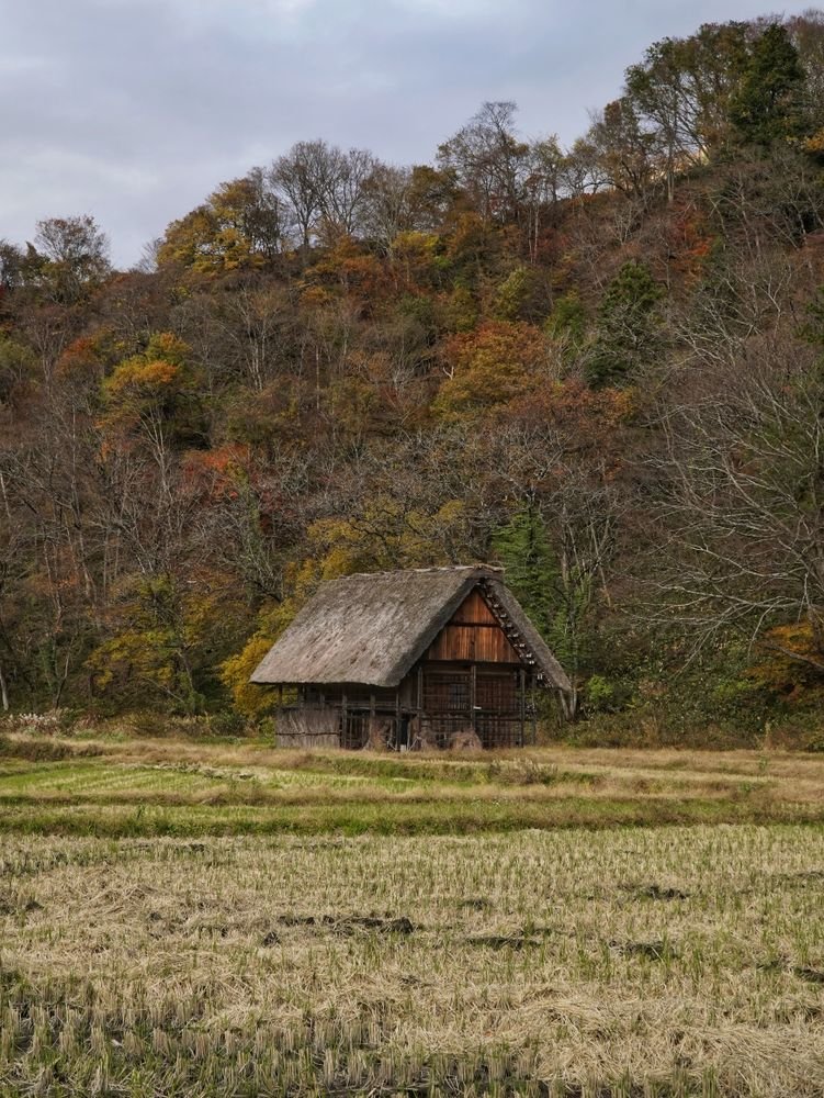 Traditional rustic Japanese mountain farmhouse surrounded by autumn foliage