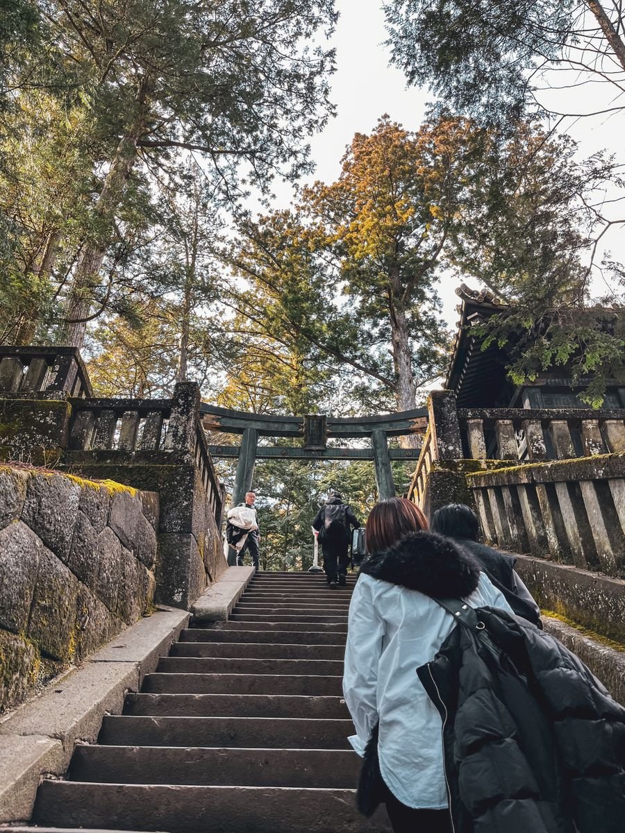 Steep stone stairway leading up to a shrine surrounded by greenery, similar to the stairway at Yuki Shrine