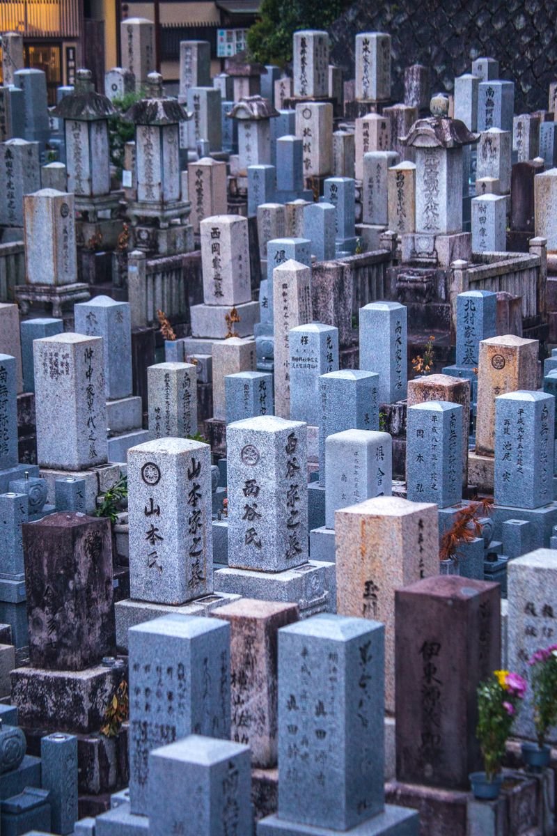 Rows of quiet stone gravestones in a Japanese cemetery
