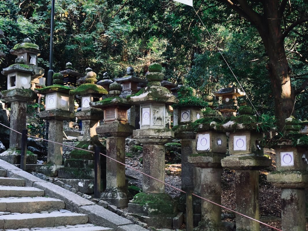 Old stone lanterns in a quiet Japanese forest