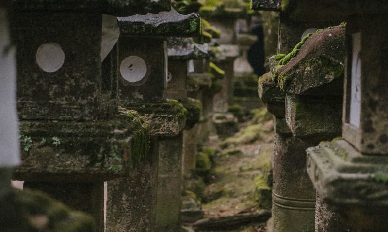 Row of ancient moss-covered stone lanterns lining a cemetery pathway in Japan