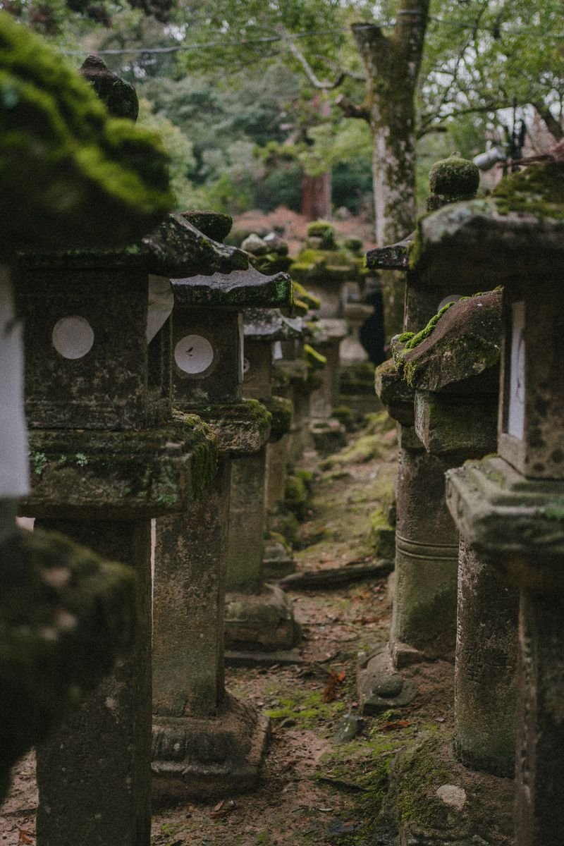 Row of ancient moss-covered stone lanterns lining a cemetery pathway in Japan