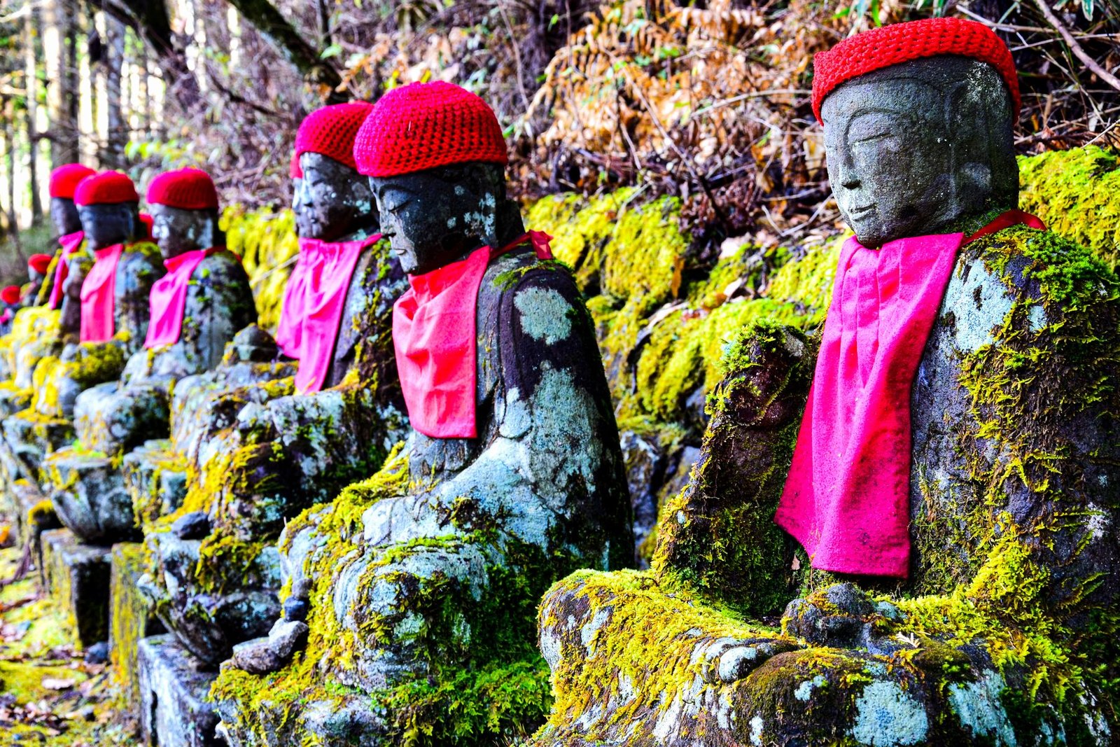 Row of moss-covered Jizo statues wearing red bibs in a Japanese forest