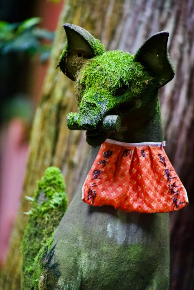Moss-covered stone statue with a red cloth offering in a forest shrine
