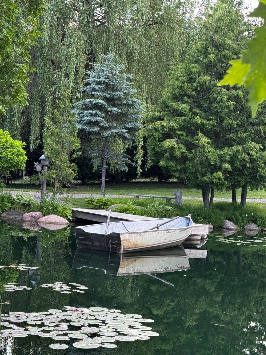 A wooden rowboat floating on a calm, tree-lined pond