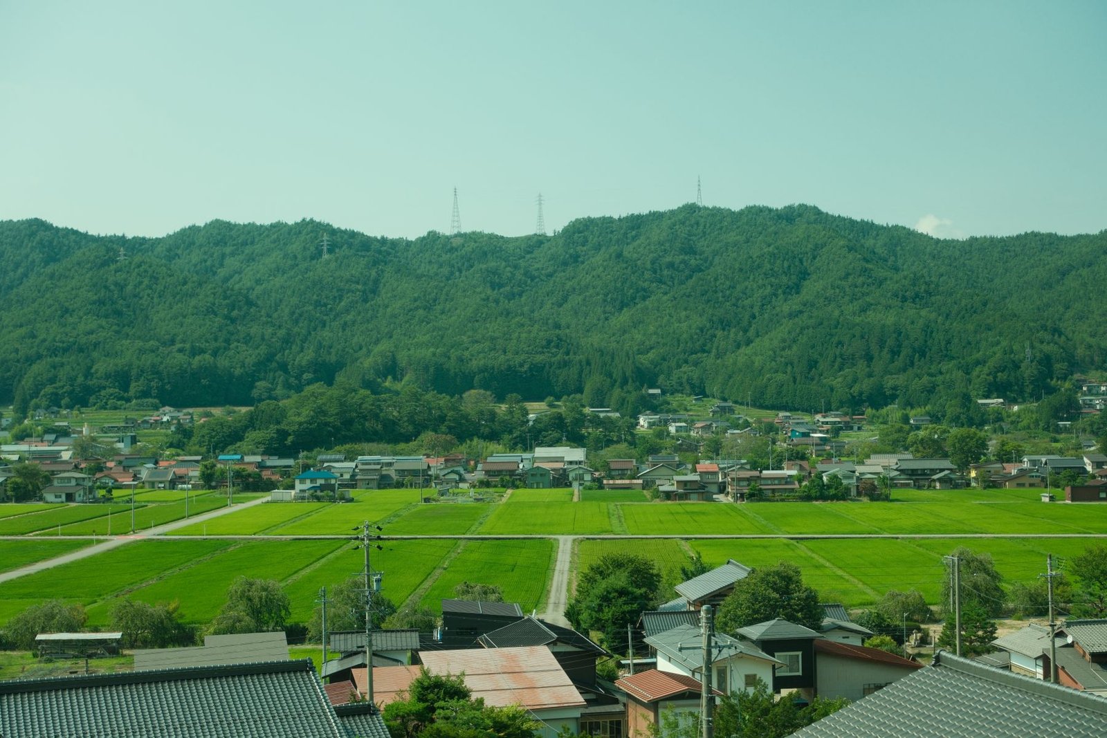 Lush green rice fields surrounding a traditional Japanese mountain village