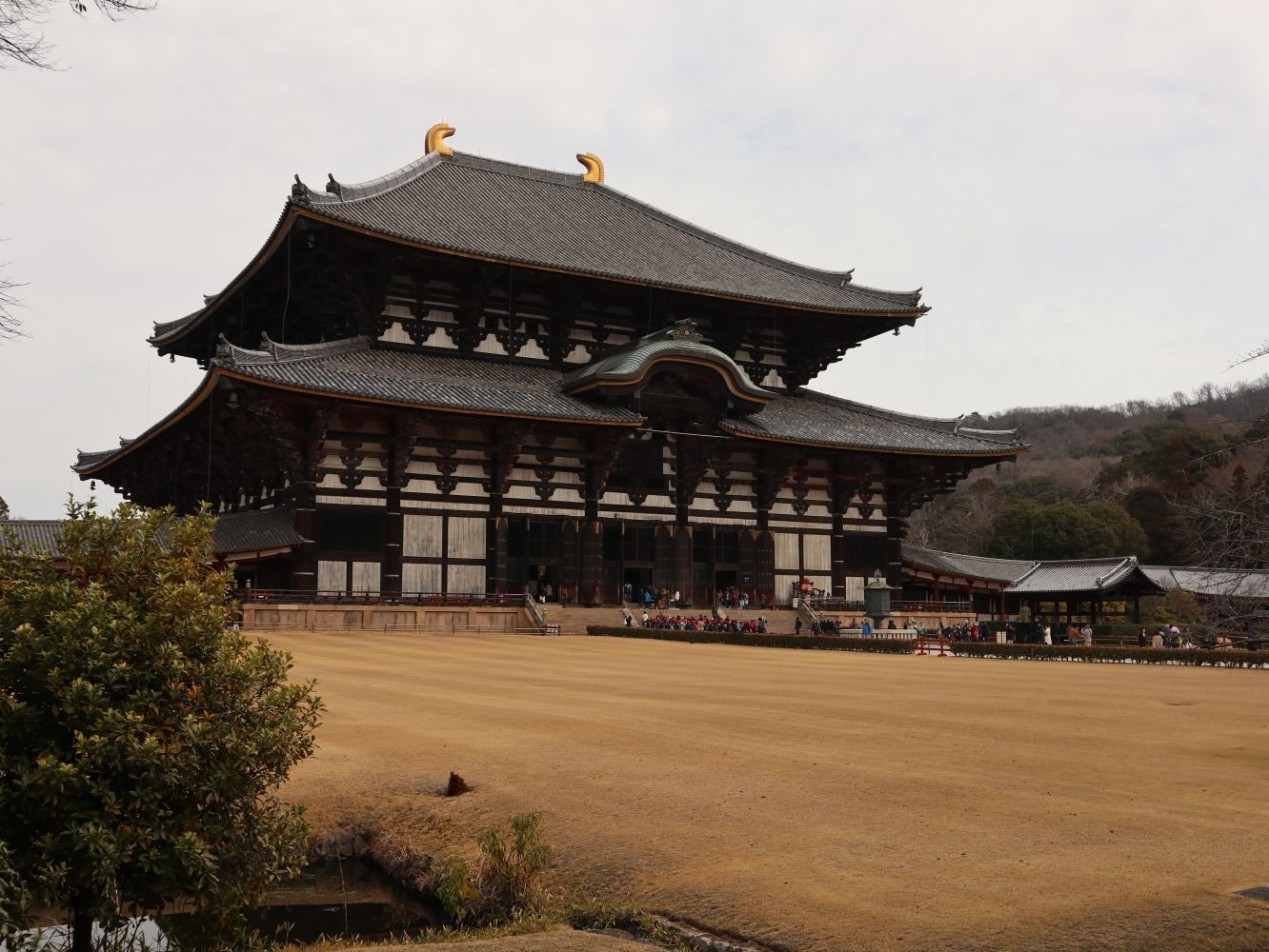 Stunning view of the Great Buddha Hall at Todaiji Temple, Nara, Japan's cultural heritage site.