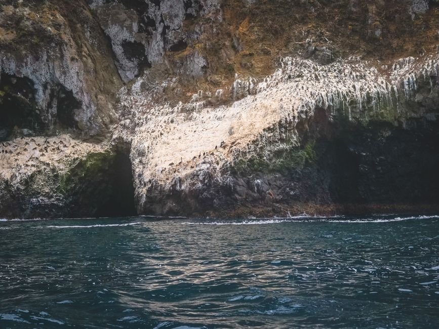 Sea caves cut into a rocky coastline