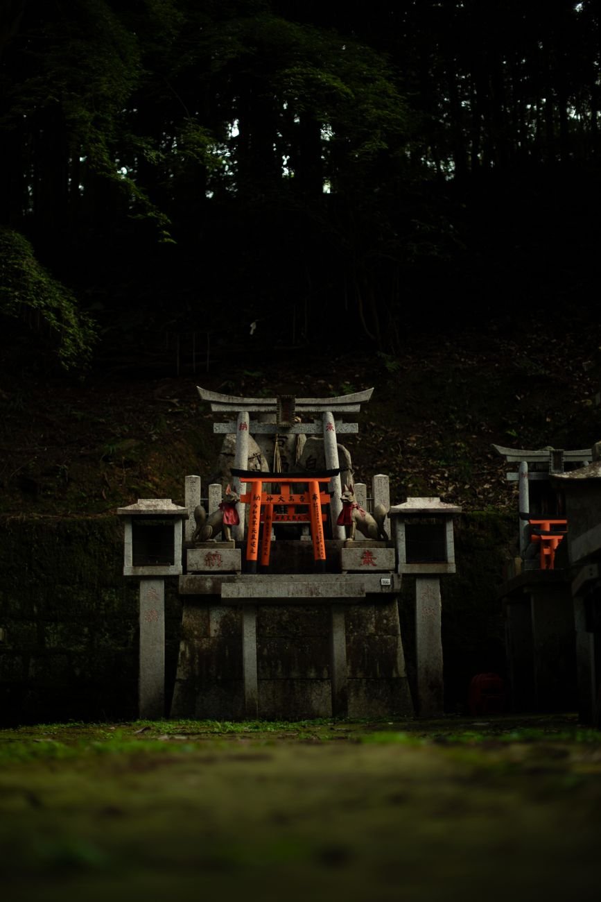 Forest shrine path in Kyoto, Japan