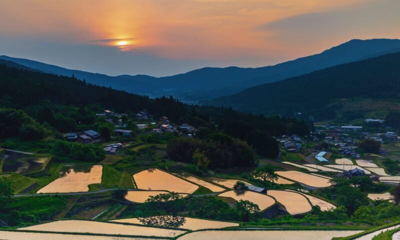 Terraced green rice fields in a Japanese valley at golden hour