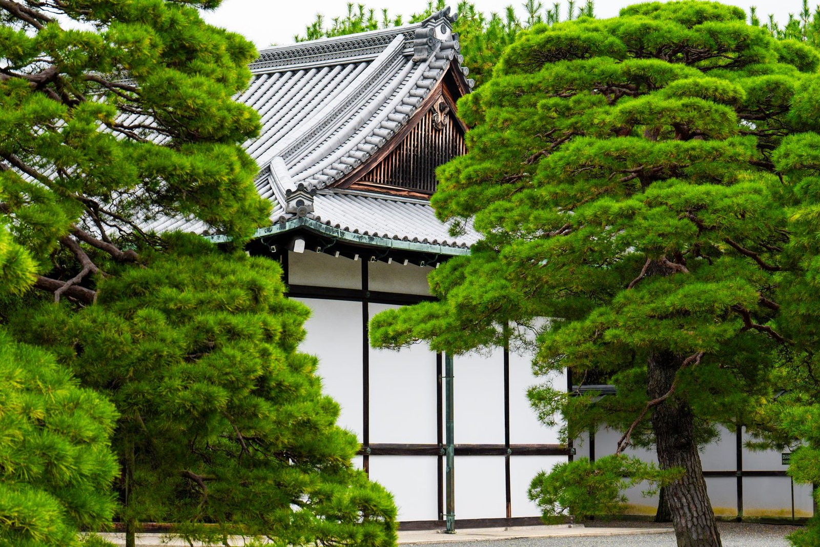 Traditional Japanese temple surrounded by greenery