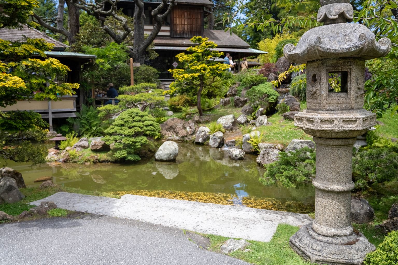 A tranquil Japanese garden with a stone lantern beside a pond, similar to Genkyuen Garden at Hikone Castle