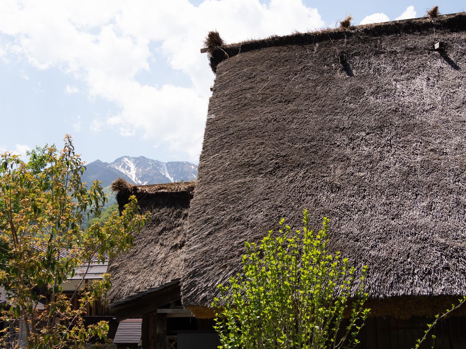 Close-up of a traditional Japanese thatched roof