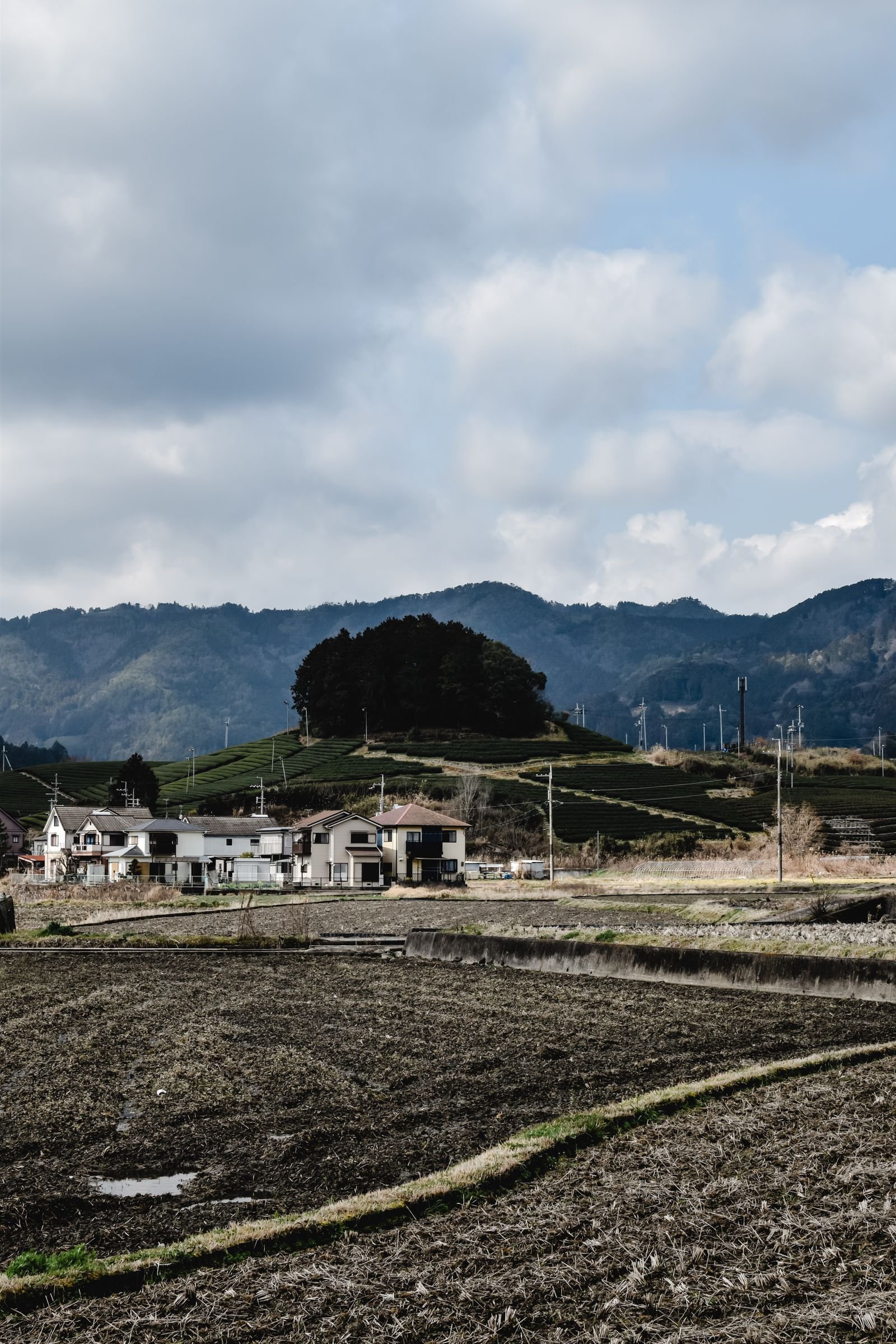 Rural landscape with fields and cloudy sky in Japan