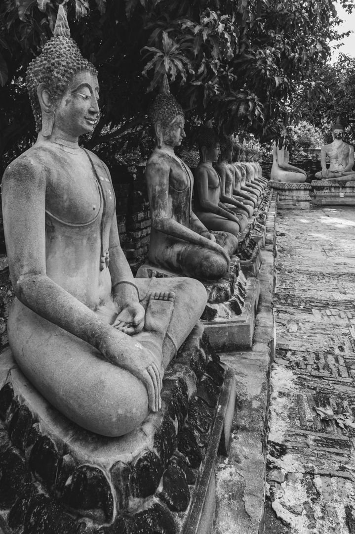 Rows of stone Buddha statues at a Japanese temple