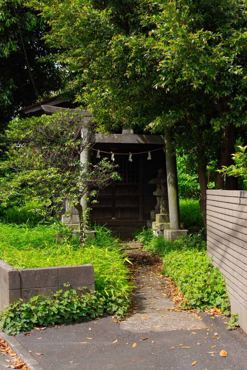A small Japanese shrine surrounded by trees, illustrative of the Kamemaro Shrine at Kindaichi Onsen