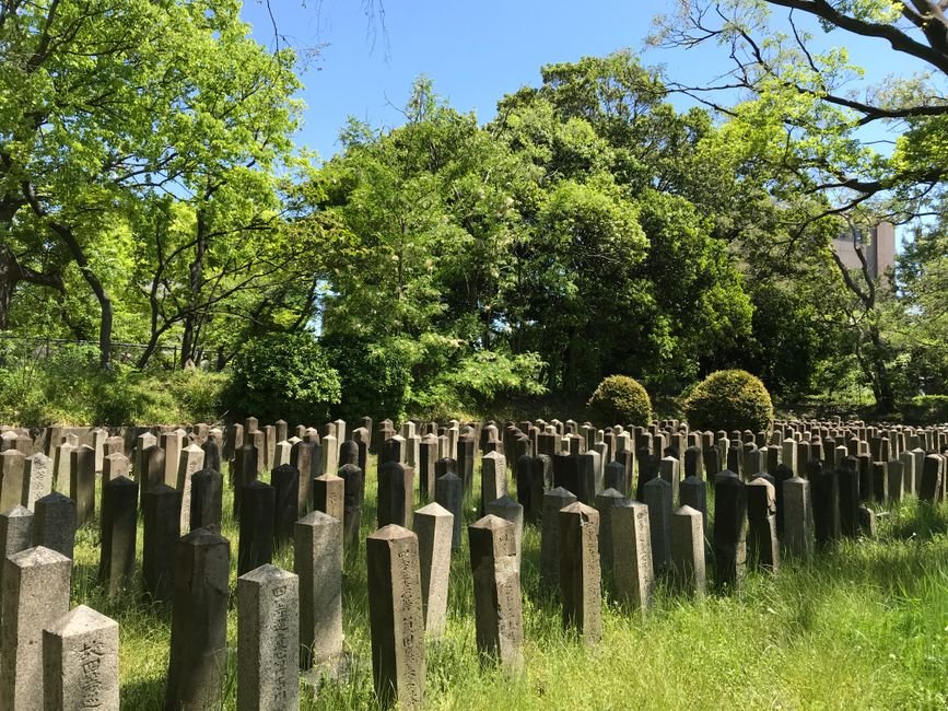 Peaceful cemetery with stone monuments among trees, illustrative of the Byakkotai graves on Mount Iimori