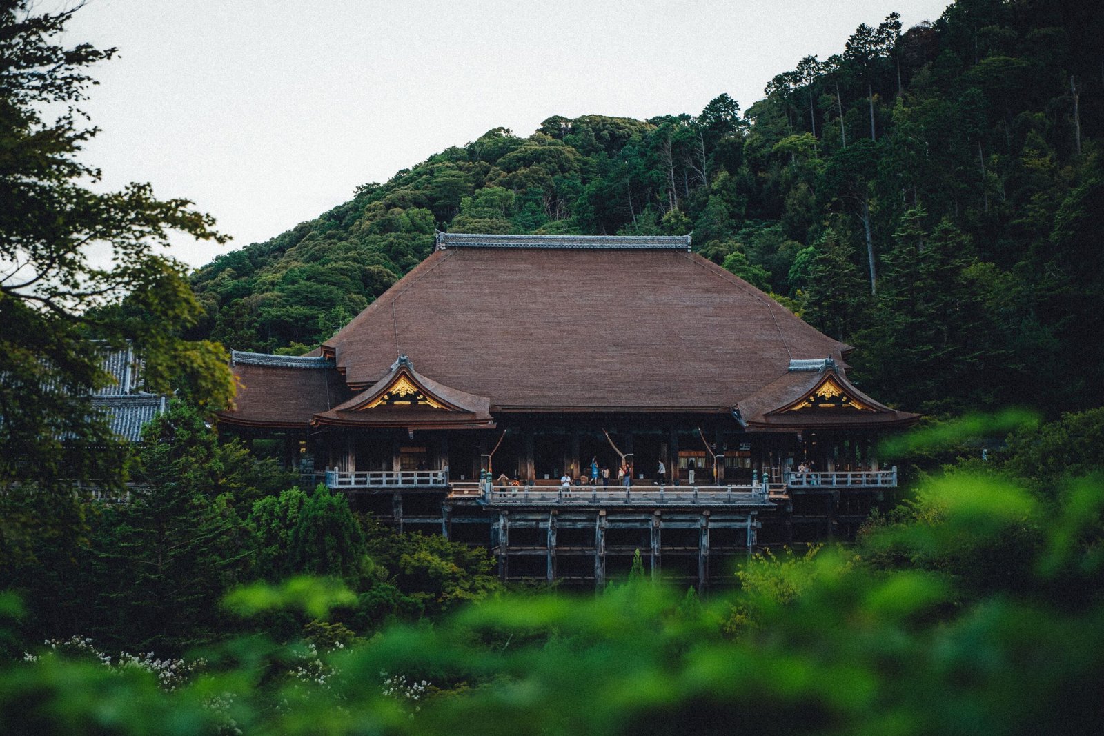 A traditional Japanese mountain temple surrounded by dense green forest