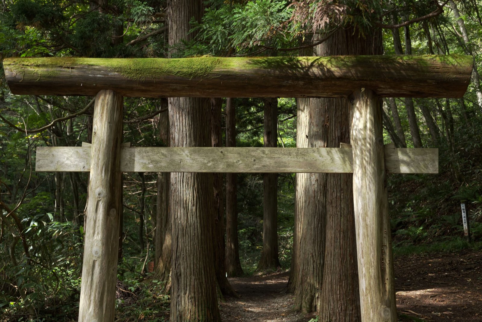 A moss-covered torii gate standing along a forest path, evoking the shrine approach at Takachiho