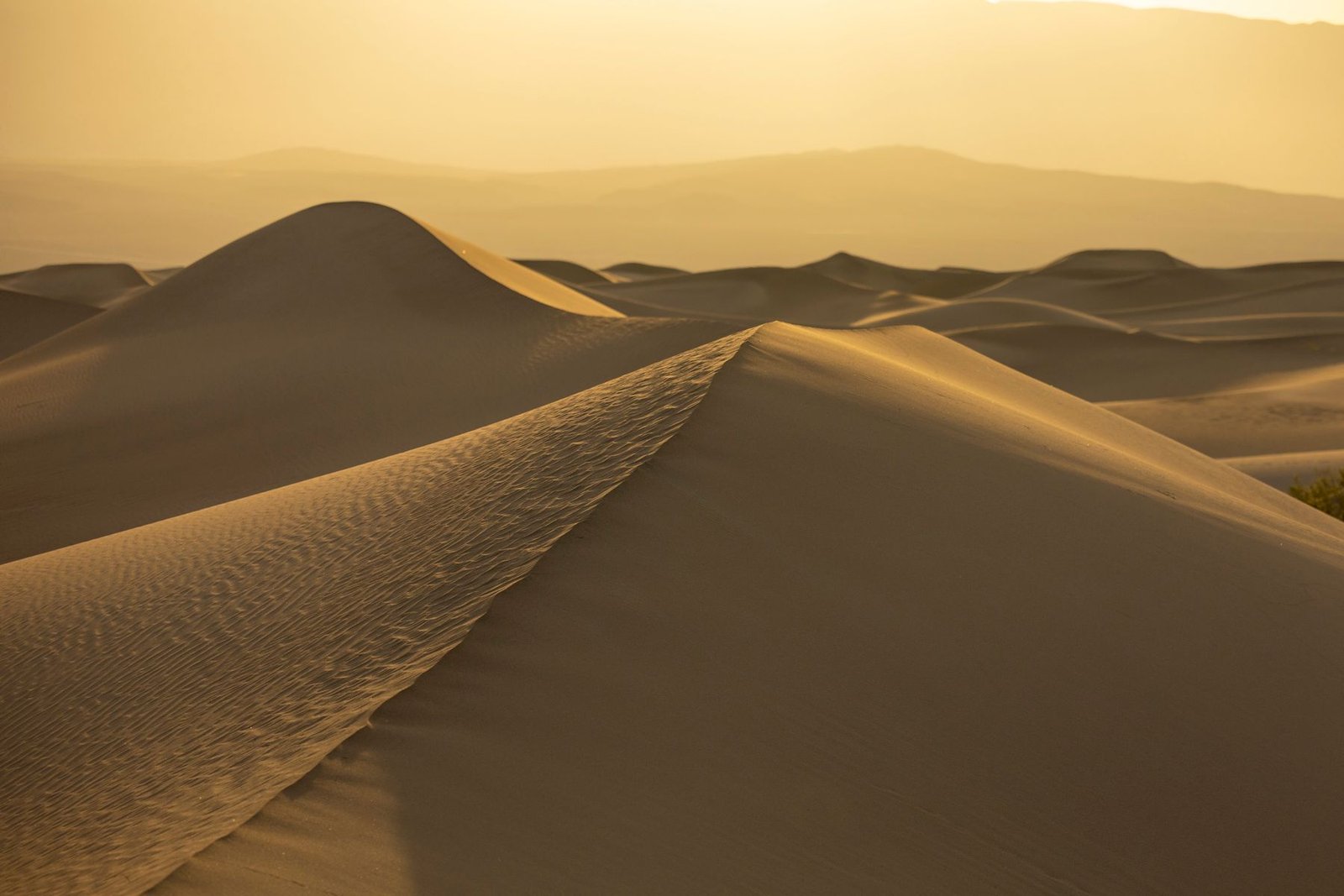 Sand dunes glowing in warm golden light