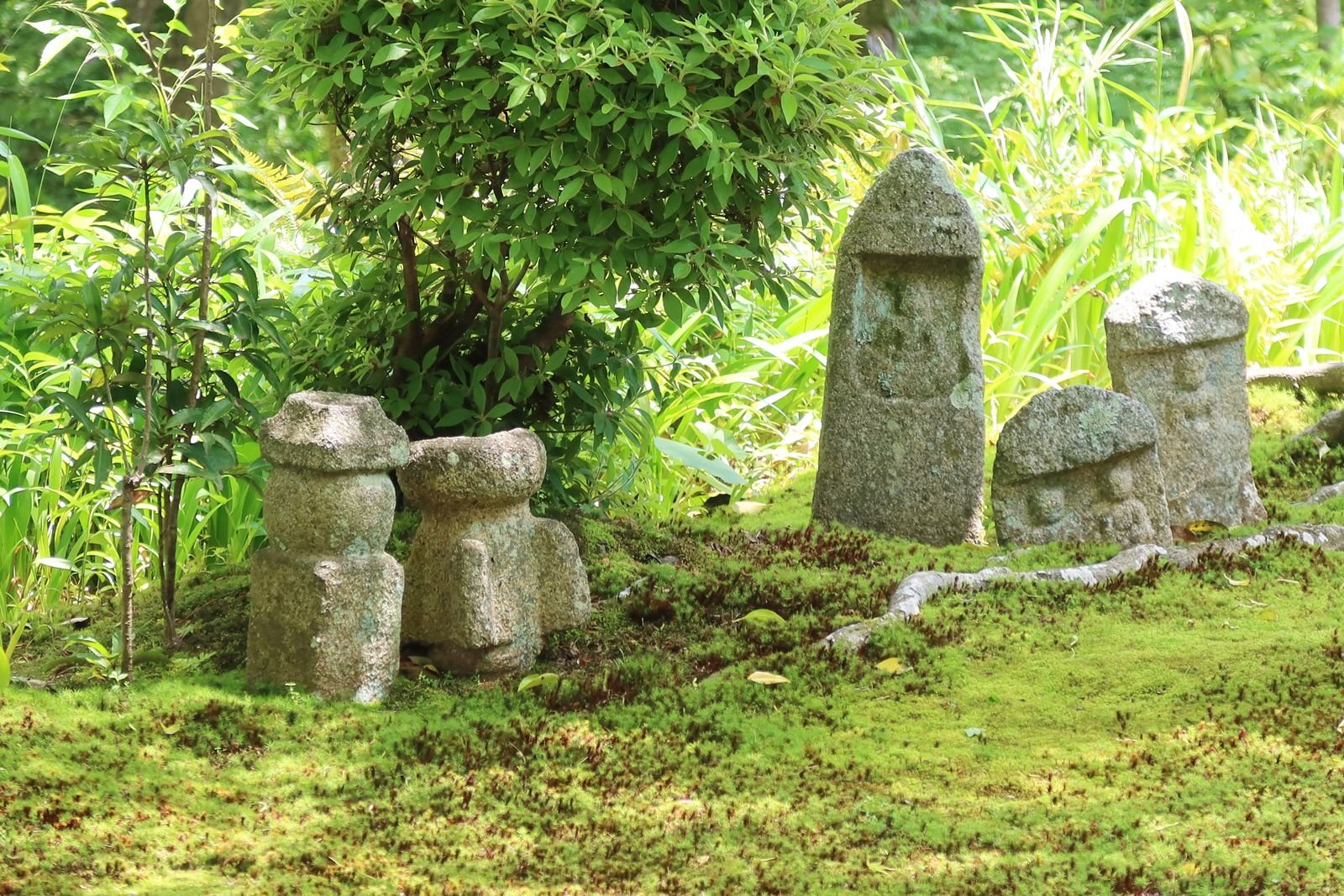 Weathered Japanese stone memorial statues set among moss