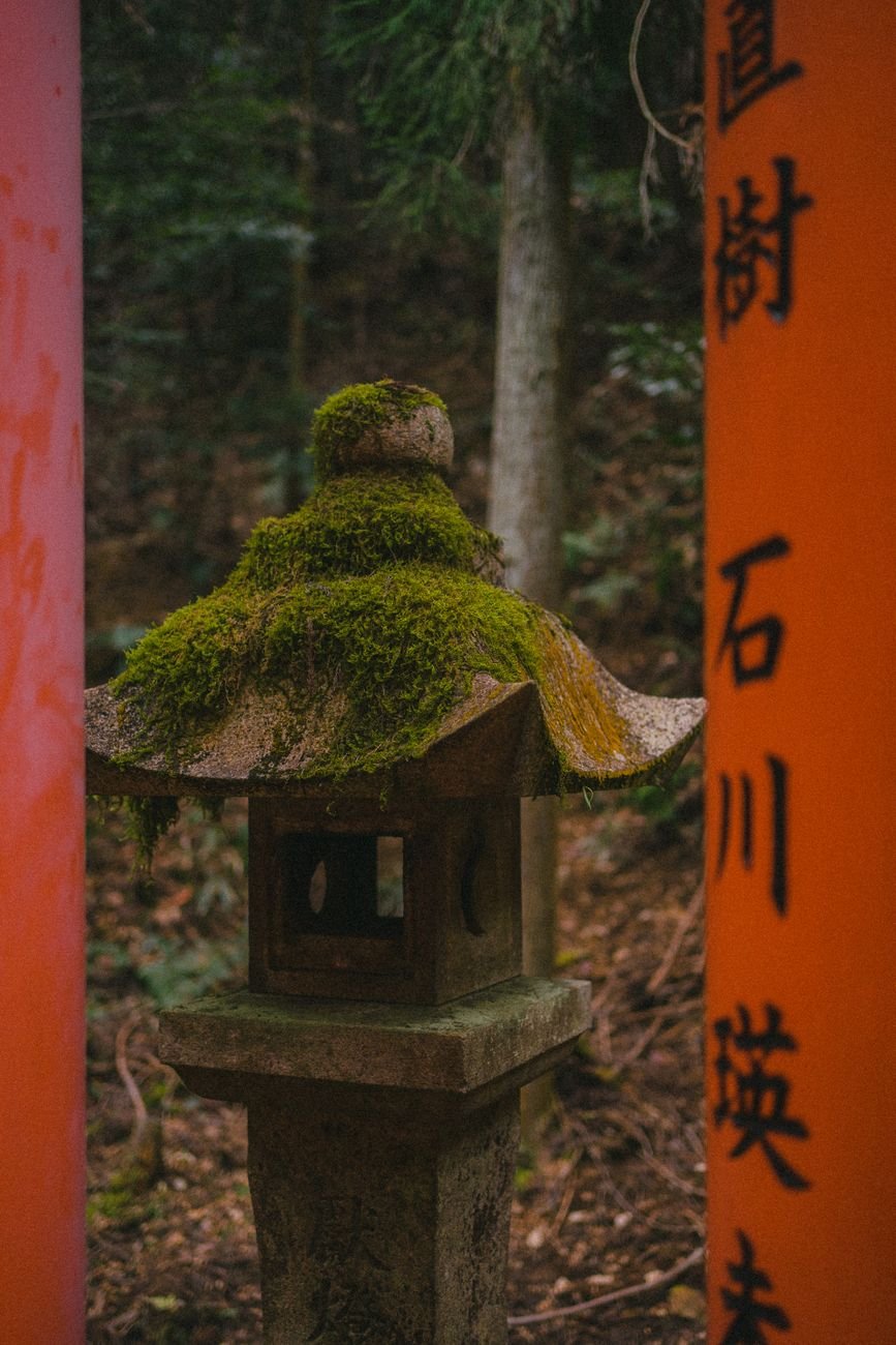 Moss-covered stone lantern beside a torii gate in a quiet Japanese forest