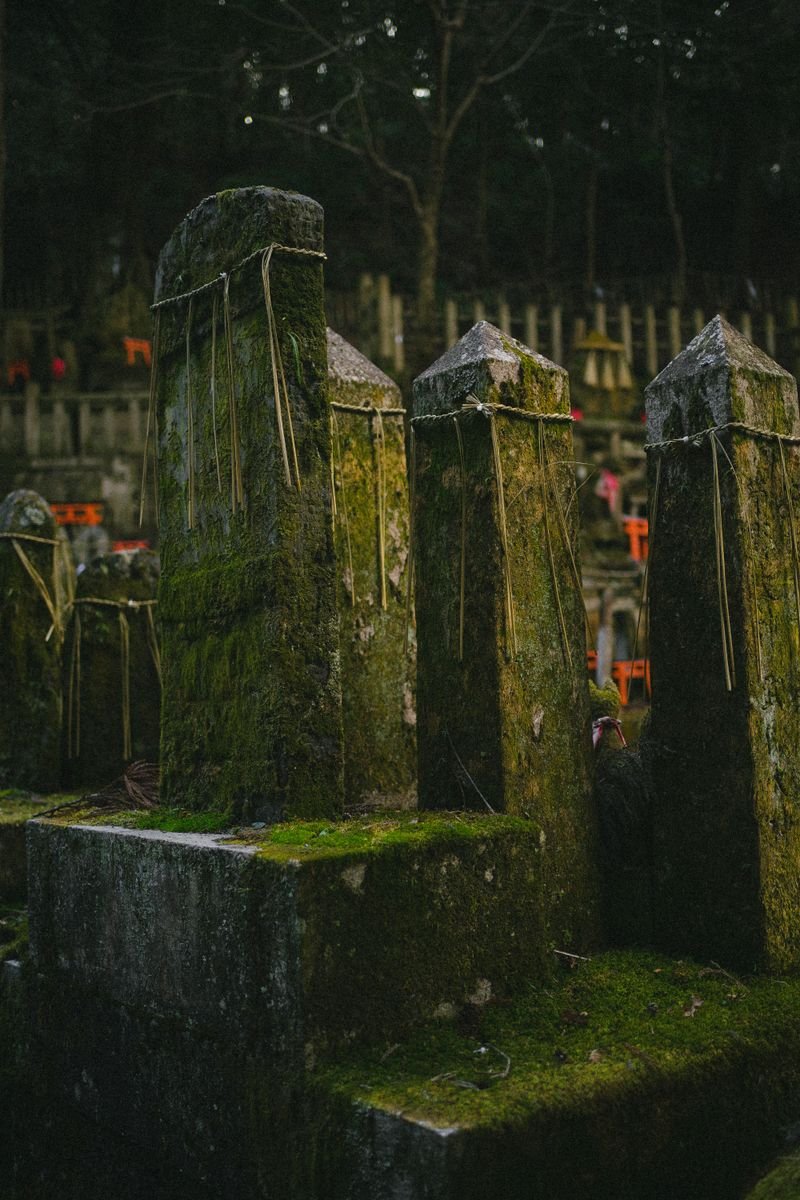 Moss-covered ancient stone markers in a quiet forest setting